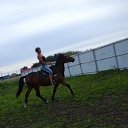 ���� ����, �����������, 47 ��� - ��������� 15 ������ 2020 � ������ ���� ����������