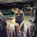  Kit, , 104  -  29  2020   