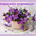 ���� �������, ������ - ��������� 19 ��� 2020 � ������ ������ ��������