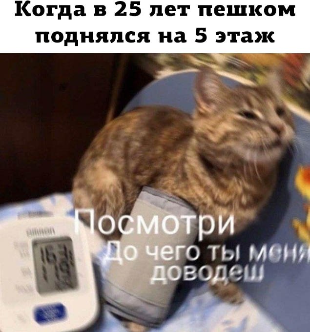 0po  oe  k opy