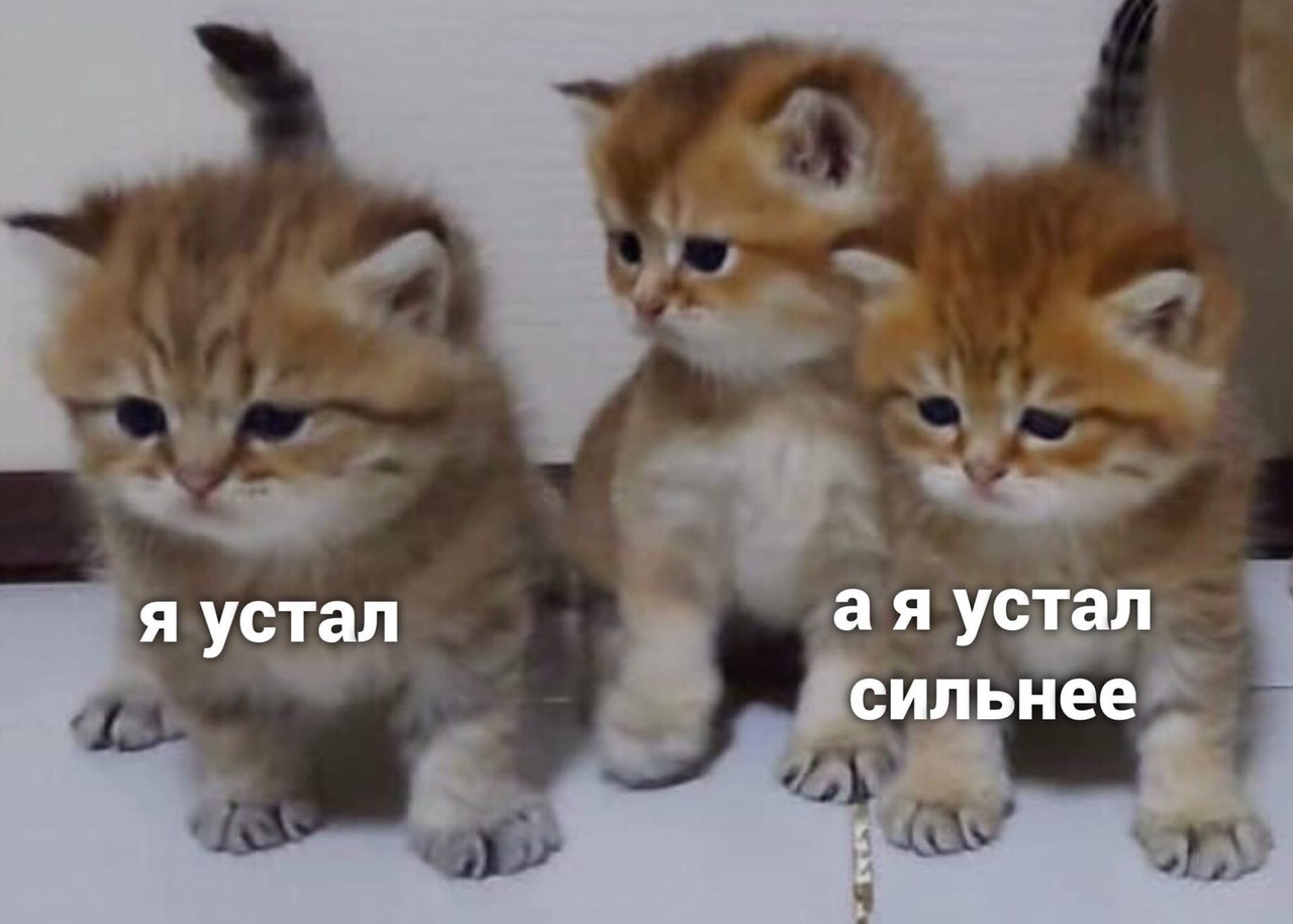  - 19  2020  18:49