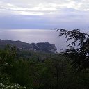 ,,     ,07.05.20.7 .25.    2020