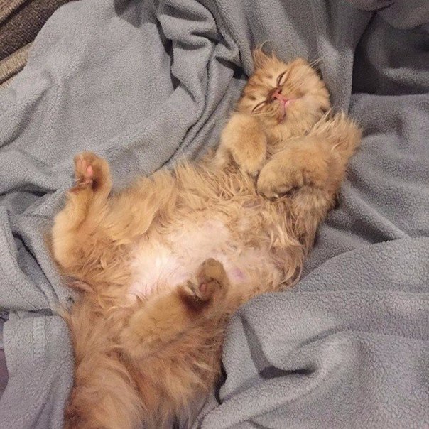    ,      !!! - 3