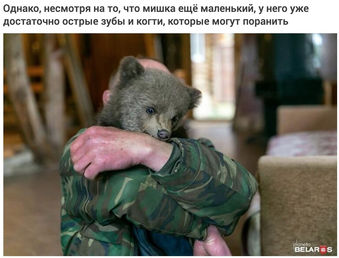     . - 6