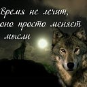 ���� �����, ������������ - ��������� 15 ������ 2020 � ������ ������ ��������