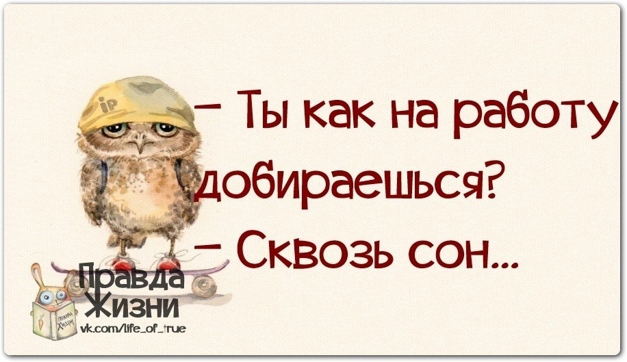 Турбаза лесная сказка воронеж на карте. Задания по сказке 3 медведя. Добраться до работы сказку. Санаторий лесная сказка чебаркуль. Лабиринт к домику заюшкина избушка.