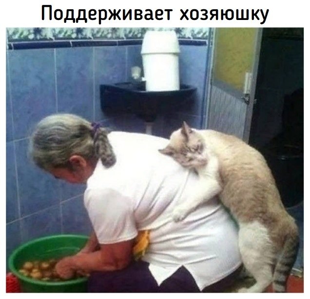    - 10  2020  19:06