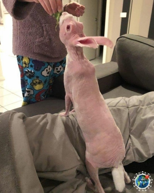 oo coo po oe c, o,  cac, eo apa  o o.# - 2