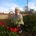 ��� 2020 �� ������� ���� ����������