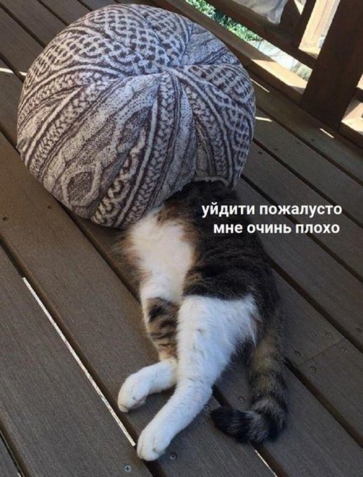         : - 2