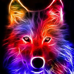 ���� ��������, ����, 30 ��� - ��������� 2 ���� 2020