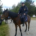 ���� ������, ������������, 45 ��� - ��������� 27 ���� 2020 � ������ ���� ����������