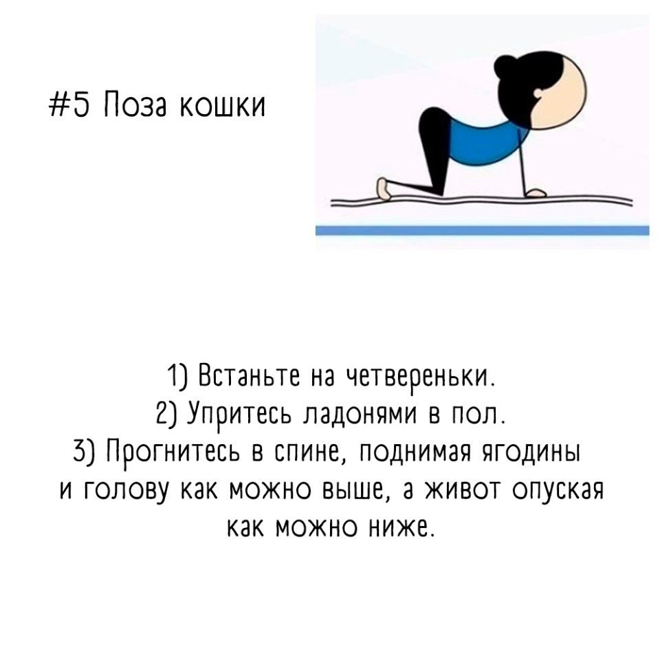    .     - 5