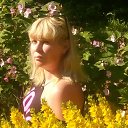 ���� �����, �����-��������� - ��������� 18 ���� 2020 � ������ ���� ����������