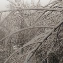 ,, ,11.02.20.11.30.    2020