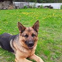 ���� ��������, ��������� - ��������� 11 ���� 2020 � ������ ���� ����������