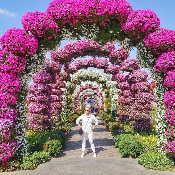    Miracle Garden,  - 5