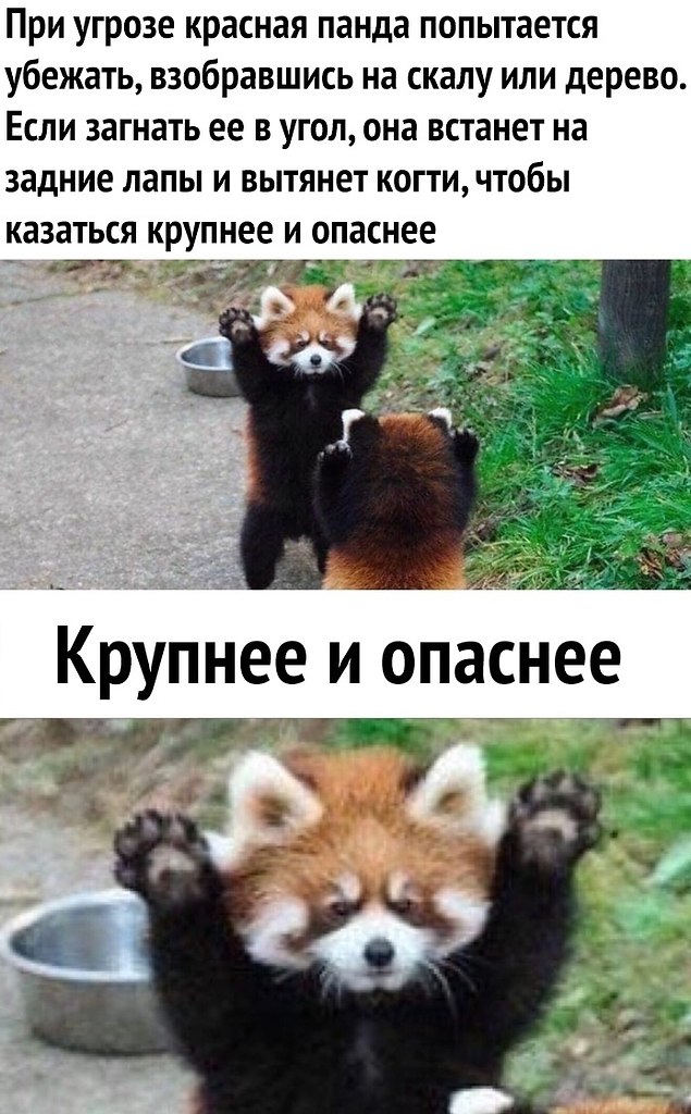   !)