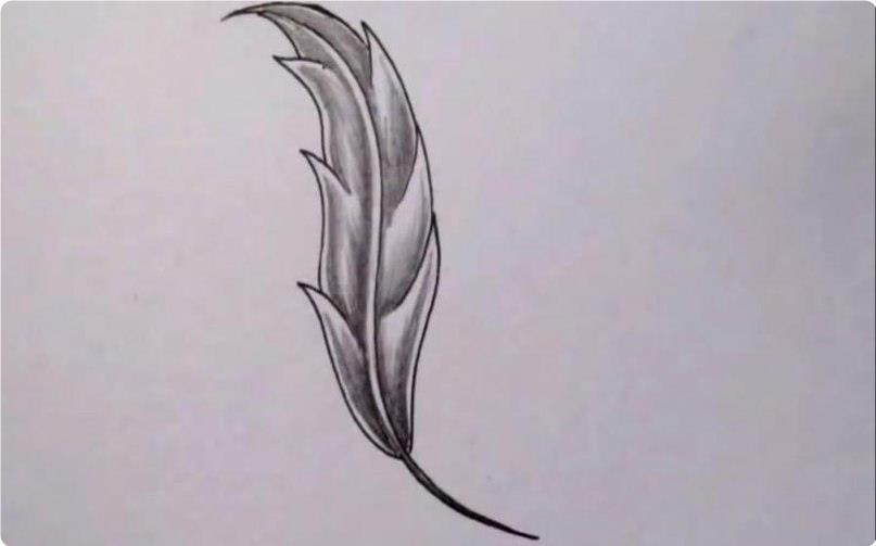 Art  |  - 17  2020  19:08 - 5