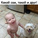 ���� Cristalic, ����������� - ��������� 1 ��� 2020 � ������ ������ ��������