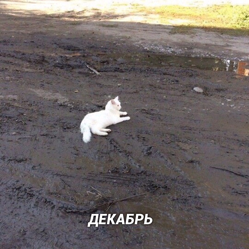 ,  ,   - 2