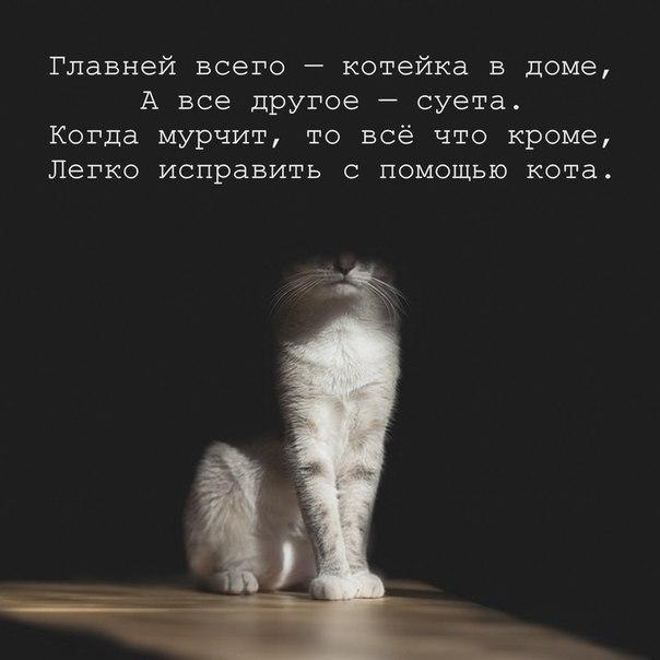       - 3  2020  18:42