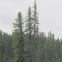  ,  -  8  2020    