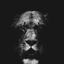  , -, 62  -  12  2020    