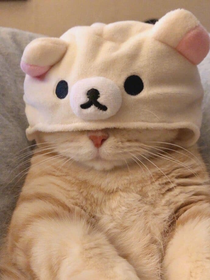    ,  ,  -   : - 2
