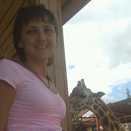 �����, 42 ����, ���������