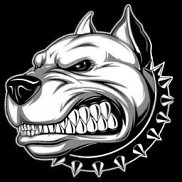 �������, 37 ���, ������