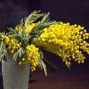 ���� ������, �����������, 47 ��� - ��������� 25 ����� 2020 � ������ ���� ����������