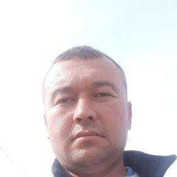 ���� ������, �����������, 38 ��� - ��������� 2 ����� 2020