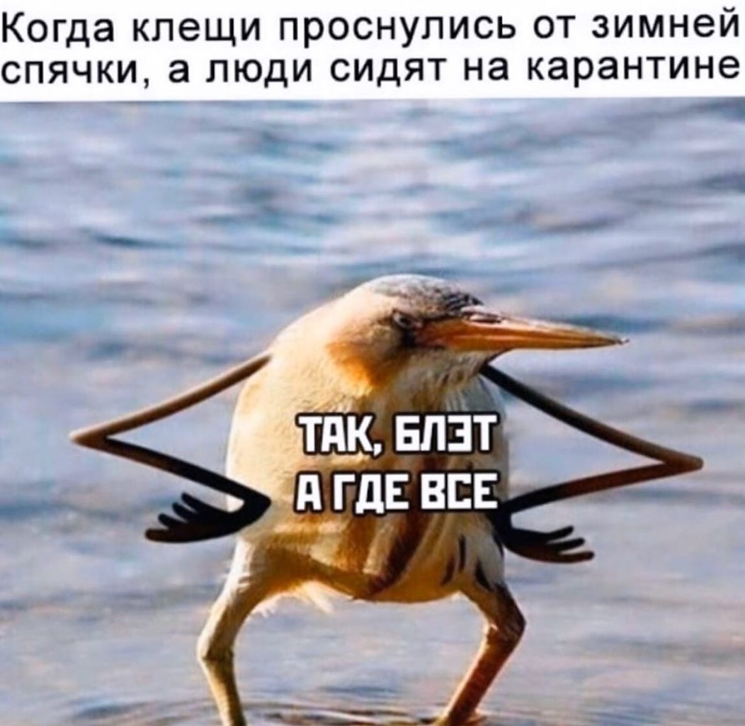 ������� - 11 ������ 2020 � 19:13