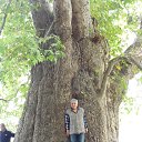 ���� ������� ������������, �����������, 64 ���� - ��������� 21 ����� 2020 � ������ ������� ������ ������������� �������߻