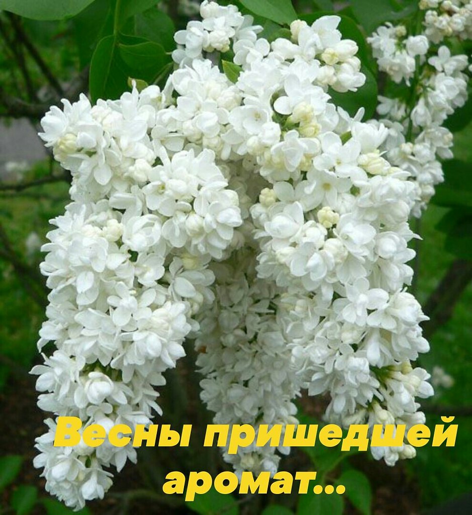   ,    . - 23  2020  17:03