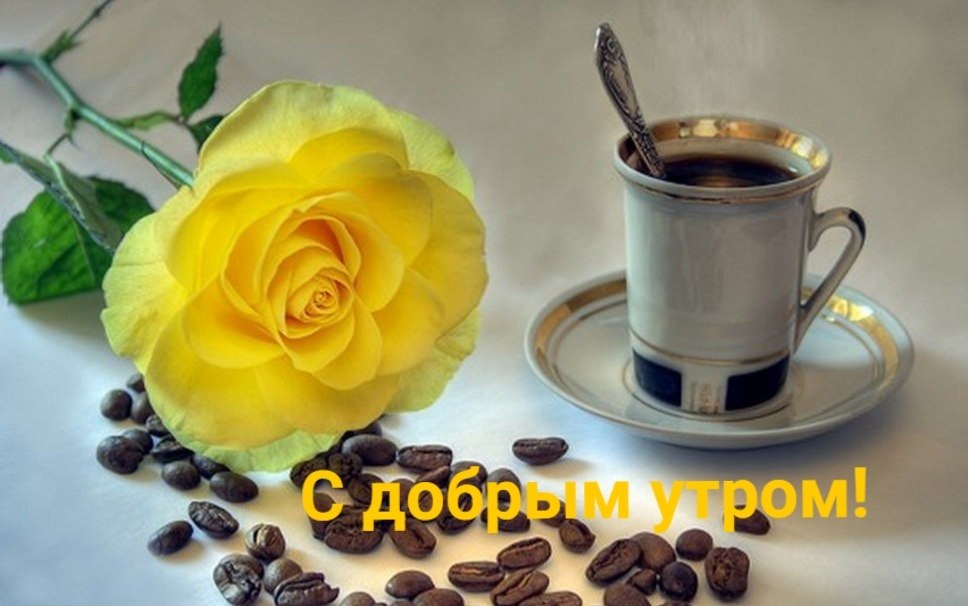   ,    . - 21  2020  20:42 - 5