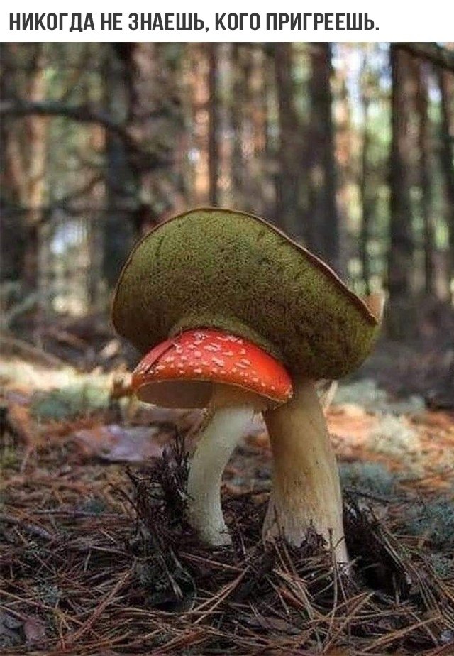 o o...
