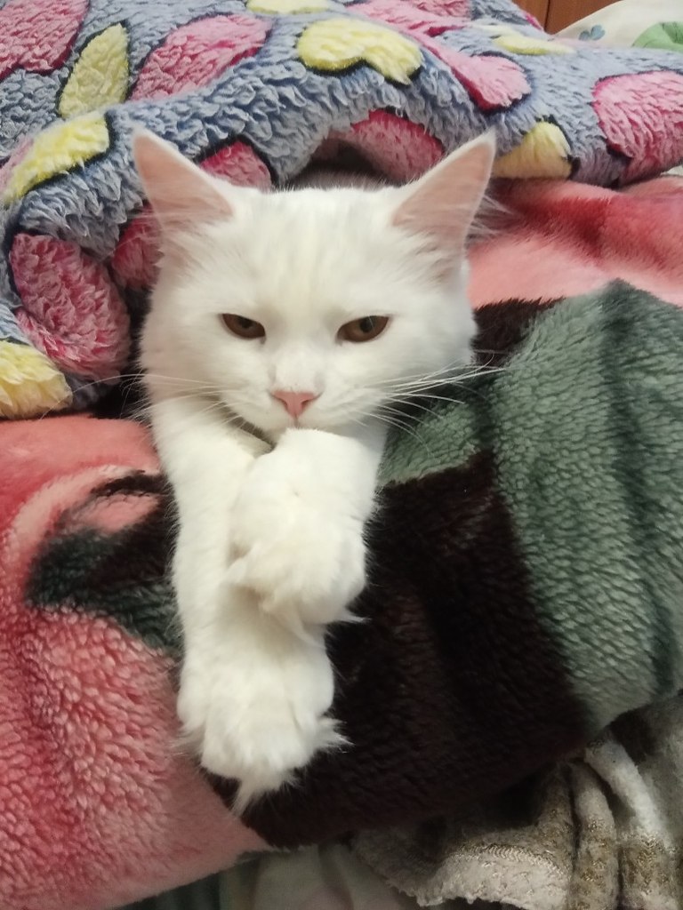 #_.     ,   ,    , ... - 3