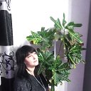 ���� ������, ������� - ��������� 11 ������� 2020 � ������ ���� ����������