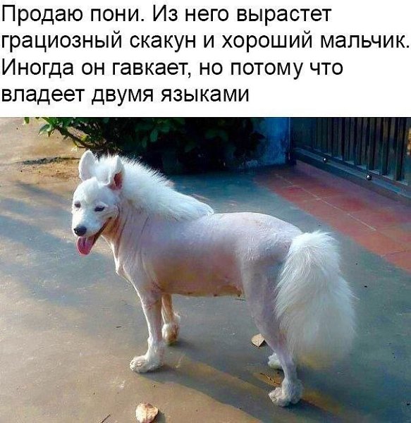 https://vk.com/wall-40567146_2361047