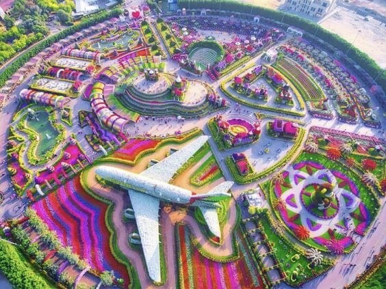    Miracle Garden, 