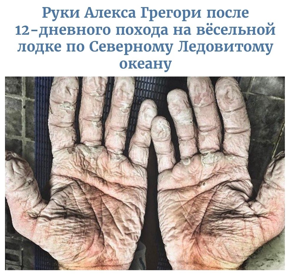 BEST | , ,  - 24  2020  19:04