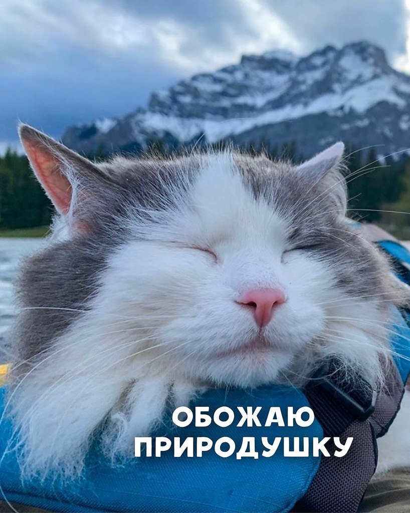     - 8