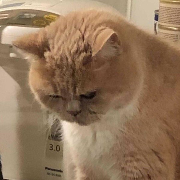 ���������: � � �������� ������ - 3