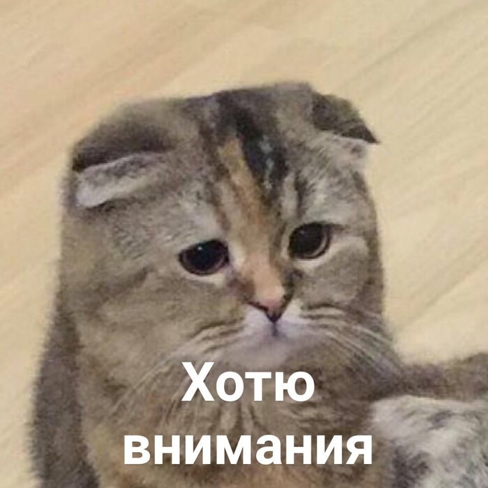 : 
