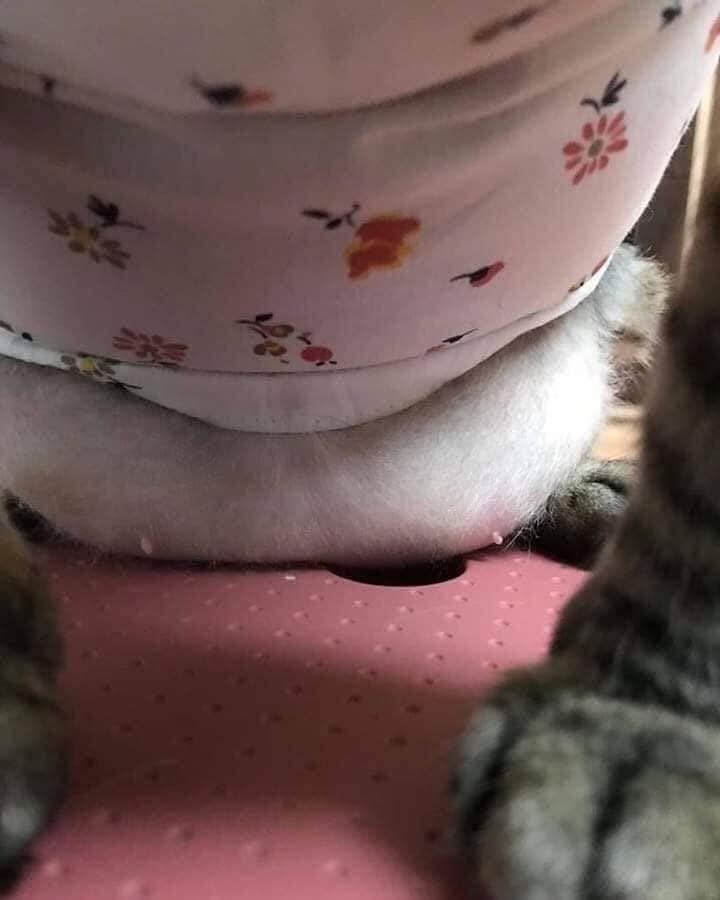       : - 2