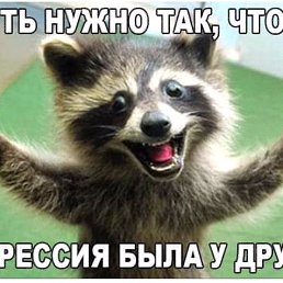 ���� ������, ���������, 49 ��� - ��������� 28 ������� 2020