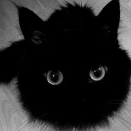 �������, ������, 50 ���