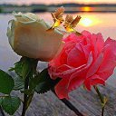 ���� �����, �����, 64 ���� - ��������� 24 ����� 2020 � ������ ������ ��������
